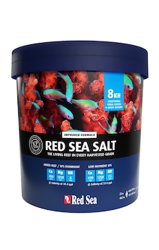 Red Sea Salt 8 Dkh