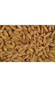 Arpa Tane 1 KG