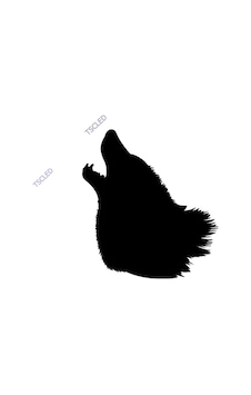 Bozkurt Sticker 15Cm Bozkurt Sticker 15Cm