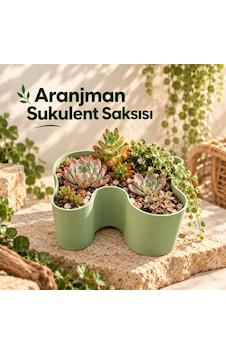 Aranjman Sukulent Saksısı - Modern Tasarımlı Bitki Saksısı Aranjman Sukulent Saksısı - Modern Tasarımlı Bitki Saksısı