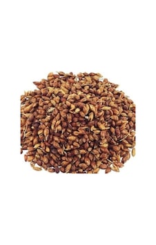 Süpürge Tohumu 25 GR