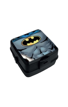 Batman Beslenme Kutusu 2900 Çok Renkli