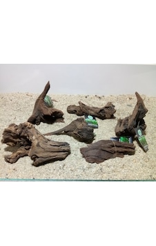 Mangrov Kütük M Boy 15-20 CM