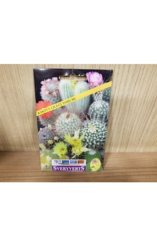 Kaktüs Çiçeği Tohumu Paket N111529 Kaktüs Çiçeği Tohumu Paket N111529