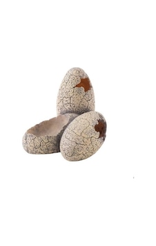 Exo Terra Dinosaur Eggs Pt2840 Exo Terra Dinosaur Eggs Pt2840