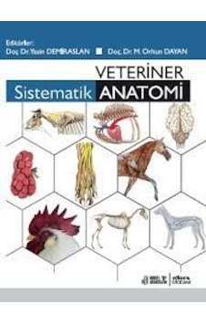 Veteriner  Sistematik Anatomi