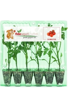 Fide Sepeti Pembe Domates Fidesi (6Lı Ambalaj) 320497200 Fide Sepeti Pembe Domates Fidesi (6Lı Ambalaj) 320497200