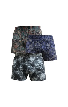 Dorea Erkek 3 Adet Desenli Boxer Çok Renkli