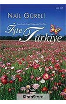 İşte Türkiye - Nail Güreli - Heyamola Yayınları