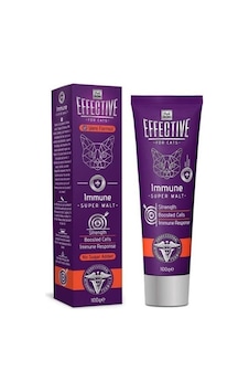 Delibon Effective Immun Kedi Malt Macunu 100 G