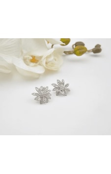 925 Ayar Gümüş Silver Küpe Gümüş 925 Ayar Gümüş Silver Küpe Gümüş