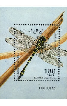 Koleksiyon Pulları, 1995 Damgasız Özel Blok,batı Sahra Cumhuriyeti,n11-83