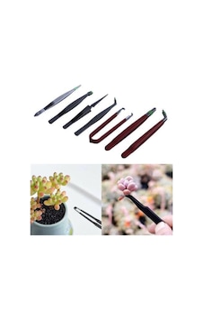 Çiçek Bakım Kutulu Cımbız Seti 715723 - 189385325