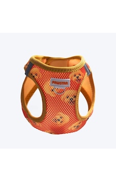 Pawstar Air-mesh Poodle Köpek Göğüs Tasması - L Beden Turuncu Pawstar Air-mesh Poodle Köpek Göğüs Tasması - L Beden Turuncu