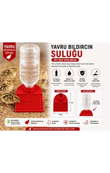 Yavru Bıldırcın Suluğu Pet Şişe Uyumlu Suluk Aparatı Yavru Bıldırcın Suluğu Pet Şişe Uyumlu Suluk Aparatı