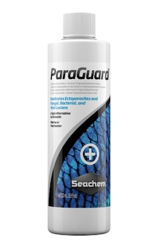 Seachem Paraguard 250 ML/ Balık Parazitleri için Seachem Paraguard 250 ML/ Balık Parazitleri için
