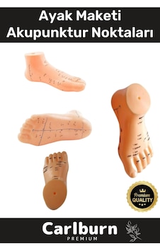Özel Üretim Kaliteli İnsan Anatomisine Uyumlu Muayene Maket 20cm Ayak Maketi Akupunktur Noktası Özel Üretim Kaliteli İnsan Anatomisine Uyumlu Muayene Maket 20cm Ayak Maketi Akupunktur Noktası
