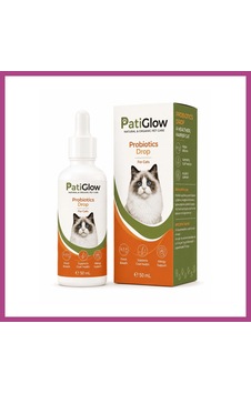 Gees Global Patiglow Kedi Probiyotik Damla 50 Ml Gbzs Gees Global Patiglow Kedi Probiyotik Damla 50 Ml Gbzs
