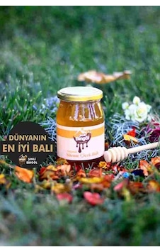 ORGANİK (500GR) ÇİÇEK BAL