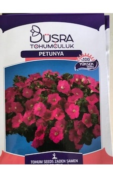 Çiçek Tohumu Petunya