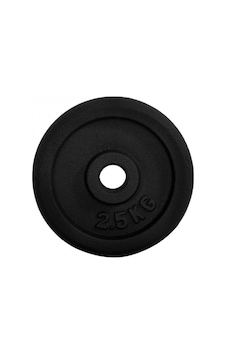 Dragondo Döküm Ağırlık Plakası 2,5 Kg Tek Dragondo Döküm Ağırlık Plakası 2,5 Kg Tek