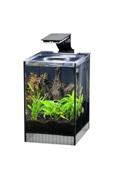 Anubias Danio 17 Nano Akvaryum Siyah 9 Lt 17x22x26,5 Cm Anubias Danio 17 Nano Akvaryum Siyah 9 Lt 17x22x26,5 Cm