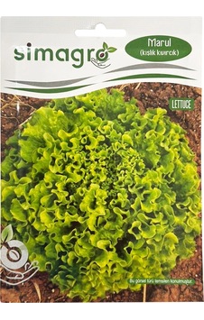 Simagro Kışlık Kıvırcık Marul Tohumu 10gr Paket 1 Paket Simagro Kışlık Kıvırcık Marul Tohumu 10gr Paket 1 Paket