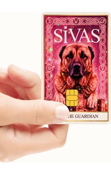 Sivas - The Guardian Pembe Kart Kaplama Sticker Kart Etiketi Yüksek Kaliteli Hologramlı Baskı Sivas - The Guardian Pembe Kart Kaplama Sticker Kart Etiketi Yüksek Kaliteli Hologramlı Baskı