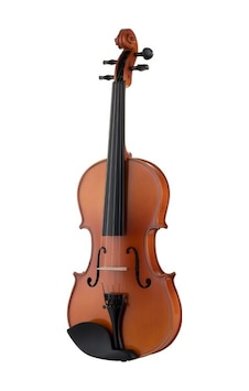 Vl-2a / 4/4 Abanoz Kulaklı Masif Mat Keman Vl-2a / 4/4 Abanoz Kulaklı Masif Mat Keman