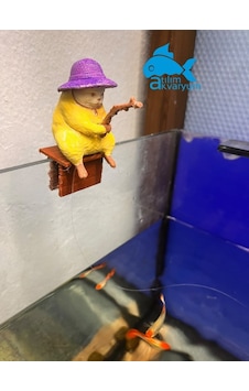 Balık Tutan Kedi Akvaryum Dekoru Balık Tutan Kedi Akvaryum Dekoru