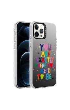 More Tr Apple Uyumlu iPhone 12 Pro Max Kılıf Desenli Zore Silver Sert Kapak More Tr Apple Uyumlu iPhone 12 Pro Max Kılıf Desenli Zore Silver Sert Kapak
