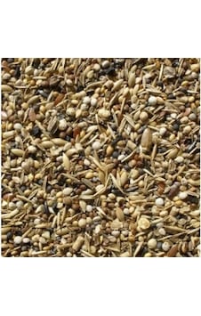Sağlık Tohumu Kuş Yemi Yabani Sağlık Yohumu 250 Gr Sağlık Tohumu Kuş Yemi Yabani Sağlık Yohumu 250 Gr