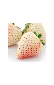 Beyaz Çilek Fidesi Pineberry 6 Adet Beyaz Çilek Fidesi Pineberry 6 Adet