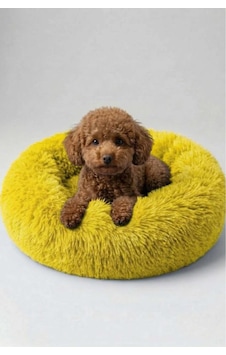 United Colors Of Benetton Bntmkt-0012-ye Uzun Kürklü Donut Kedi&köpek Yatağı Sarı 45 Cm United Colors Of Benetton Bntmkt-0012-ye Uzun Kürklü Donut Kedi&köpek Yatağı Sarı 45 Cm