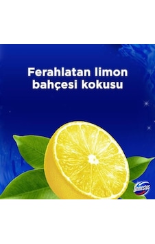 Yoğun Parfümlü Limon Bahçesi İle Wc Blok Ürünü Yoğun Parfümlü Limon Bahçesi İle Wc Blok Ürünü