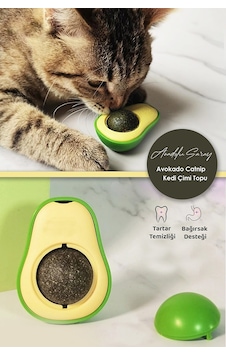 Sevimli Yapışkanlı Kedi Çimi Avokado Catnip | Kedi Çimi Nane Topu Sevimli Yapışkanlı Kedi Çimi Avokado Catnip | Kedi Çimi Nane Topu