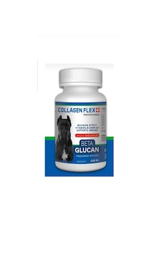 Collagen Flex Beta Glucan Köpek Tetikleyici 150 ML Collagen Flex Beta Glucan Köpek Tetikleyici 150 ML