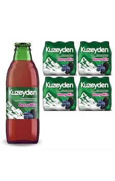 Kuzeyden Berry Mix 24x200ml Kuzeyden Berry Mix 24x200ml