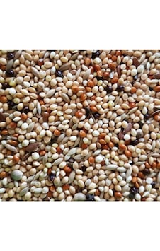Premium Karışım Muhabbet Kuşu Yemi 5 KG