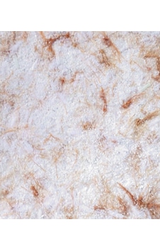 Canlı Sıva (103939600) Canlı Sıva (103939600)