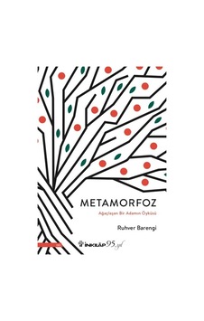 Metamorfoz Öykü Metamorfoz Öykü