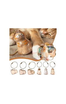 Bay Kedi Şeffaf Anı Anahtarlığı - Kedi Figürlü - Karışık Model Najmaddin Bay Kedi Şeffaf Anı Anahtarlığı - Kedi Figürlü - Karışık Model Najmaddin