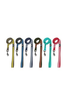 Nunbell Köpek Soft Gezdirme 2cm Çok Renkli Nunbell Köpek Soft Gezdirme 2cm Çok Renkli