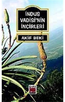 İndus Vadisi'nin İncileri - Akif Beki - Elips Kitapları İndus Vadisi'nin İncileri - Akif Beki - Elips Kitapları