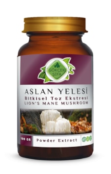 Gökçek Şifa Aslan Yelesi Toz Eki 100 G