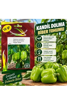 Kandil Dolma Biber Tohumu 10 Gr Kandil Dolma Biber Tohumu 10 Gr