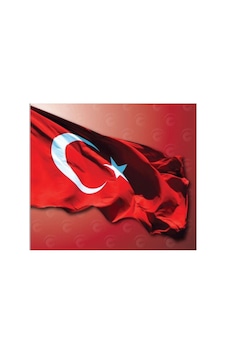 Türk Bayrağı Alpaka Kumaş 400x600 Cm Diğer Türk Bayrağı Alpaka Kumaş 400x600 Cm Diğer