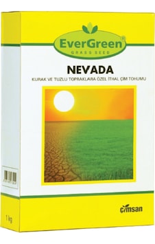 4'Lü Karışım Çim Tohumu Nevada Çim Tohumu 1 KG