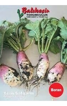 Balıkesir Yem Şalgamı
