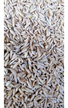 Soyulmuş İç Yulaf 5 KG Soyulmuş İç Yulaf 5 KG